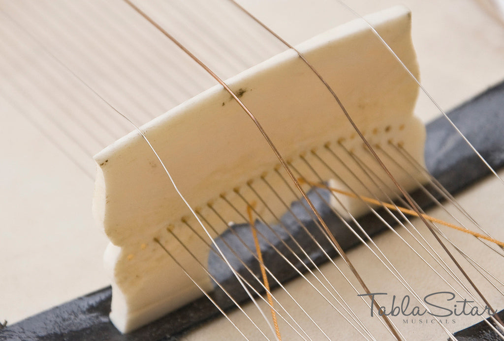 MAHARAJA Tun Wood Dilruba, Peacock End, Special Bow, With Pick-up AJI
