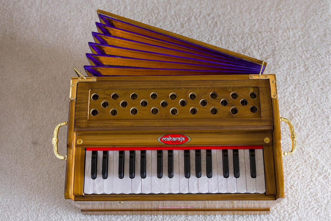 Maharaja Musicals, Small, 2 .5 Octaves Saptak, Multi-Fold Bellow, 18x12x10 Inch, Golden Handle & Aces, Bag, Kirtan Yoga Companion, Handmade - PH3