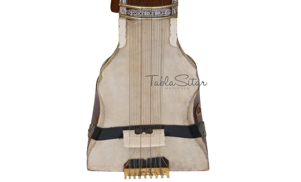 MAHARAJA Tun Wood Dilruba, Peacock End, Special Bow, With Pick-up AJI