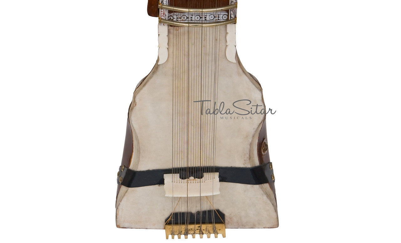 MAHARAJA Tun Wood Dilruba, Peacock End, Special Bow, With Pick-up AJI