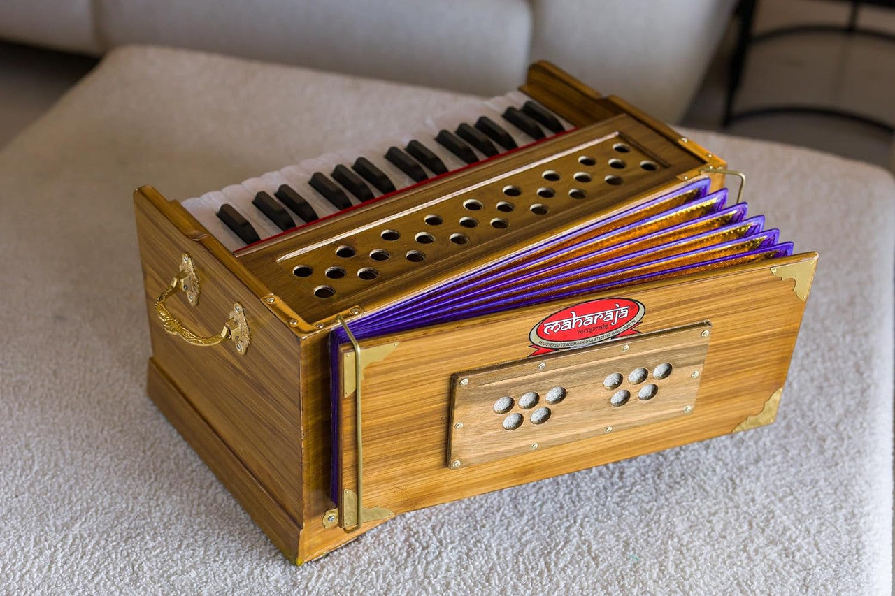 Maharaja Musicals, Small, 2 .5 Octaves Saptak, Multi-Fold Bellow, 18x12x10 Inch, Golden Handle & Aces, Bag, Kirtan Yoga Companion, Handmade - PH3