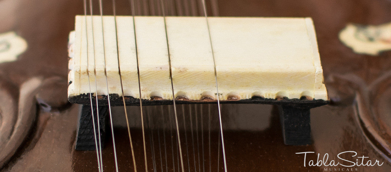 MAHARAJA Munda Sitar, Vilayat Khan Style, Fiber Trolley ACF