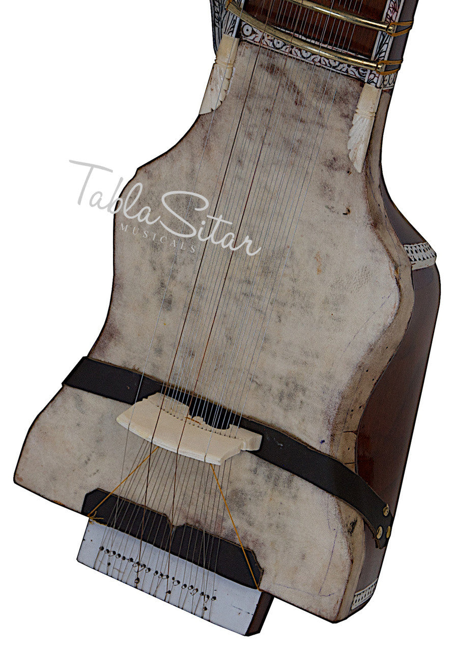 MAHARAJA Guldasta Tun Wood Dilruba - Special Bow ADG