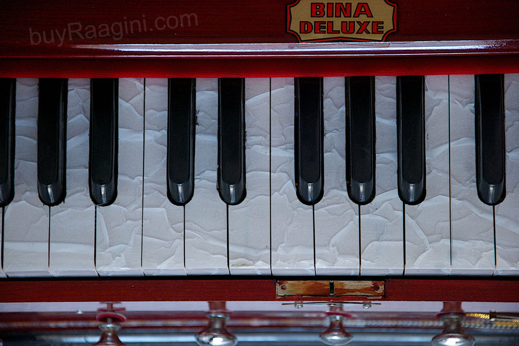 BINA NO 11 Harmonium, 2 Reeds 3.25 Octave, 7 Stops, Rosewood Color AGF
