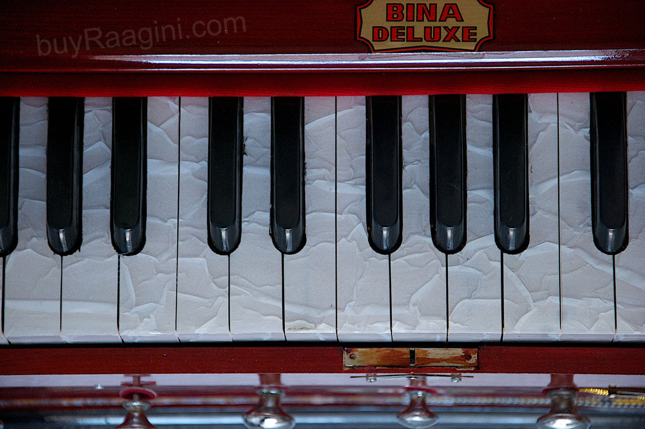 BINA NO 11 Harmonium, 2 Reeds 3.25 Octave, 7 Stops, Rosewood Color AGF