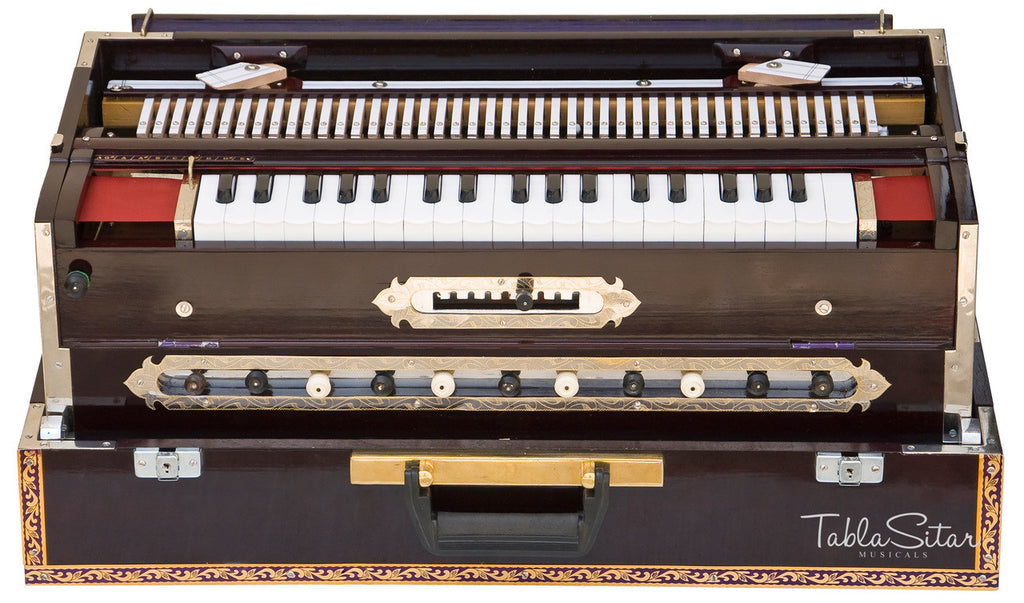 Paul & Co. Harmonium, 3 Reeds, 9 Scale Changer, Dark Mahogany - FAB