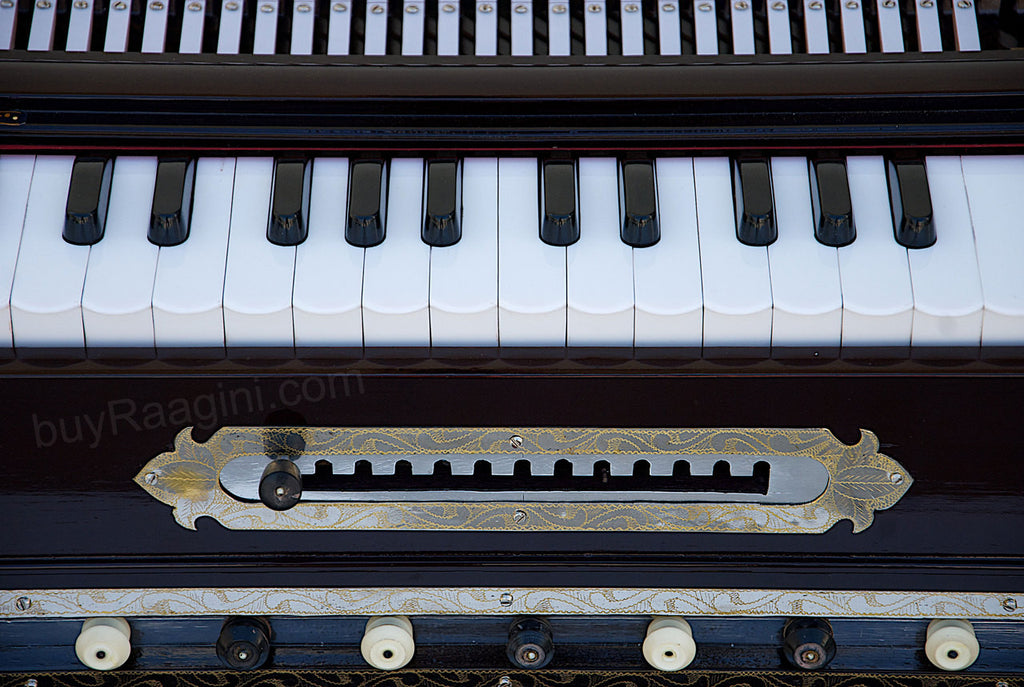 Paul & Co. Harmonium, Teak Wood 4 Reeds (BMMF), 13 Scales, 11 Stop FBD
