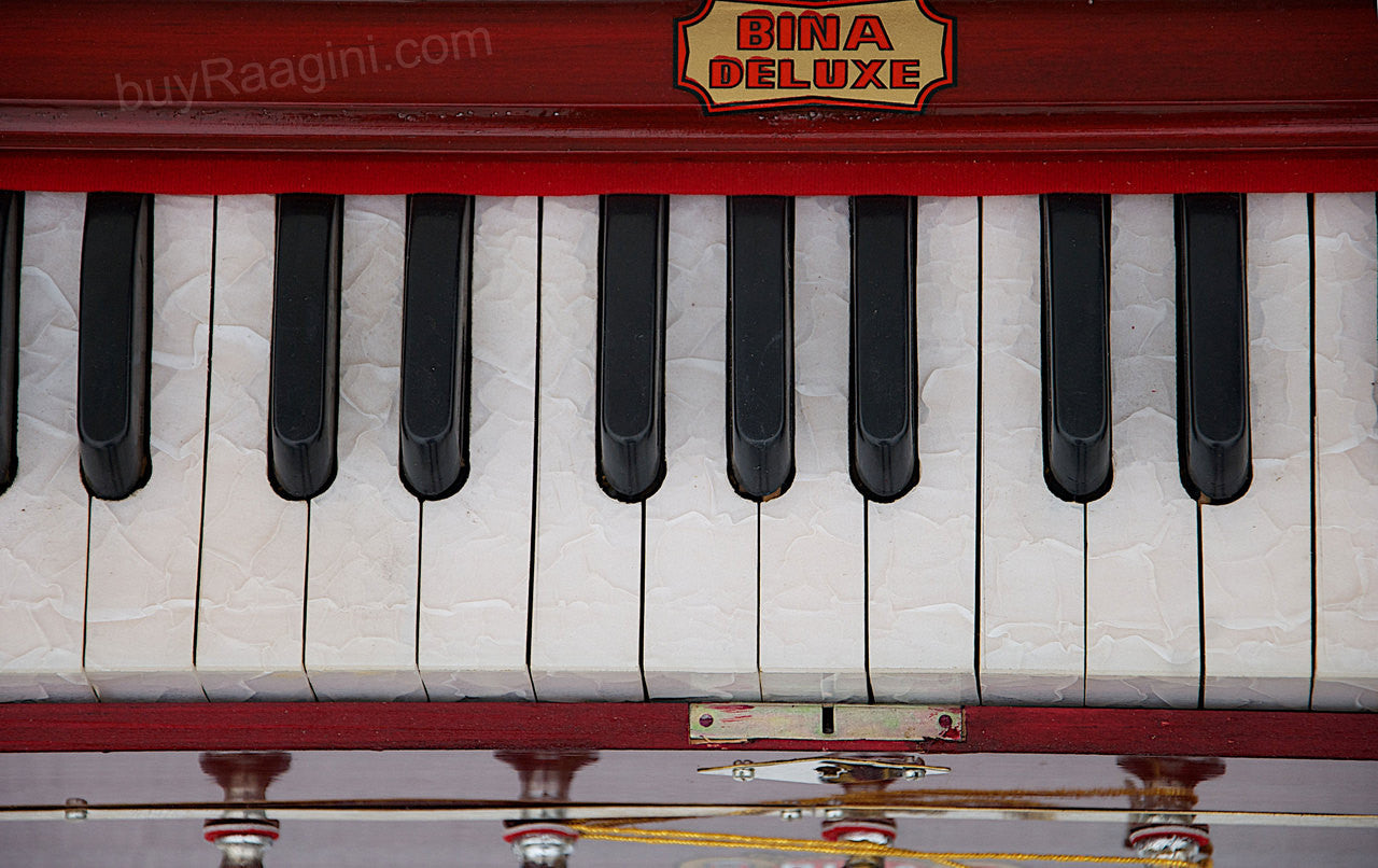 BINA NO. 9A Harmonium, 2 Reeds, 3.5 Octaves, 7 Stops, Coupler BCB