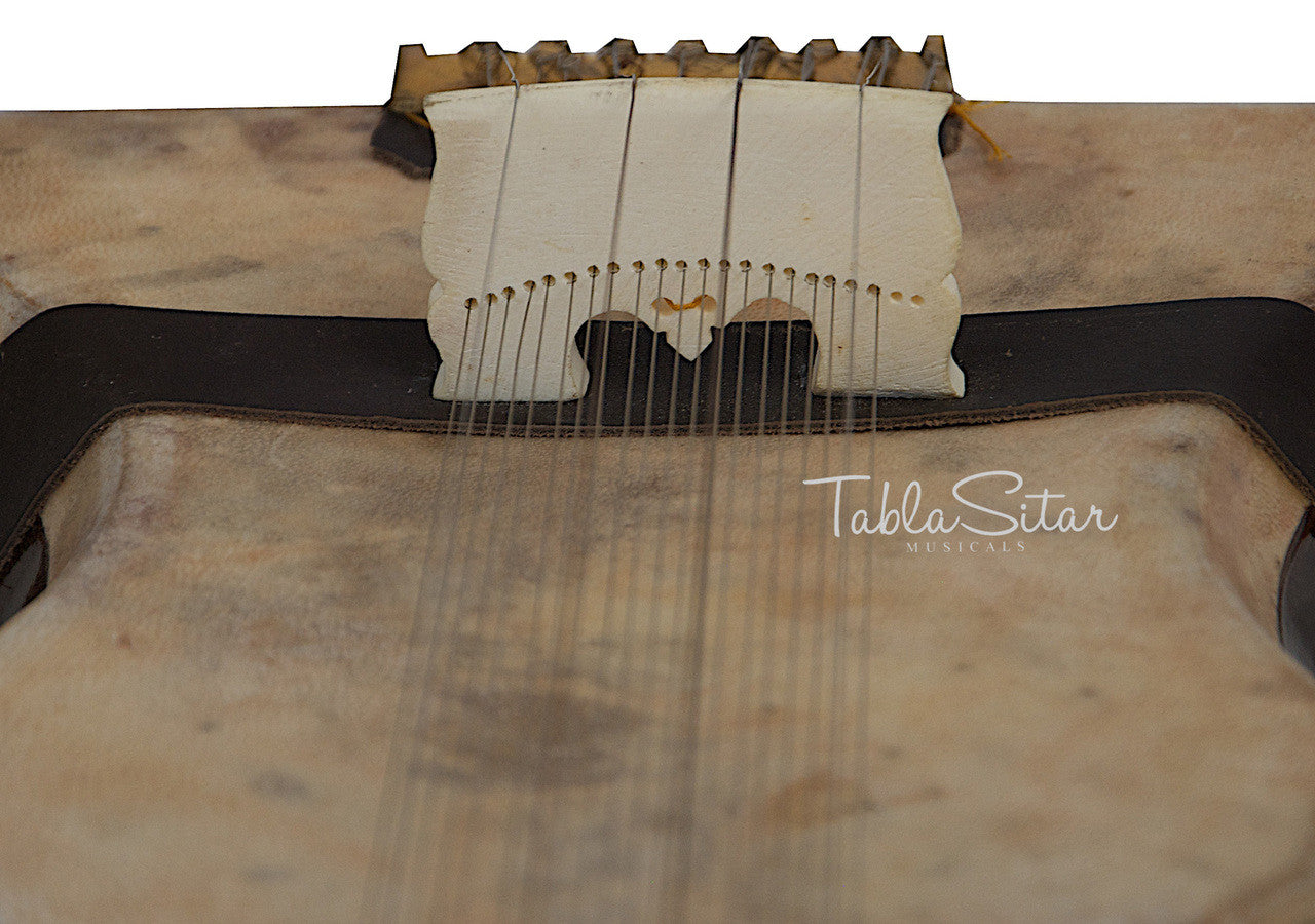 MAHARAJA Tun Wood Dilrub - BCC