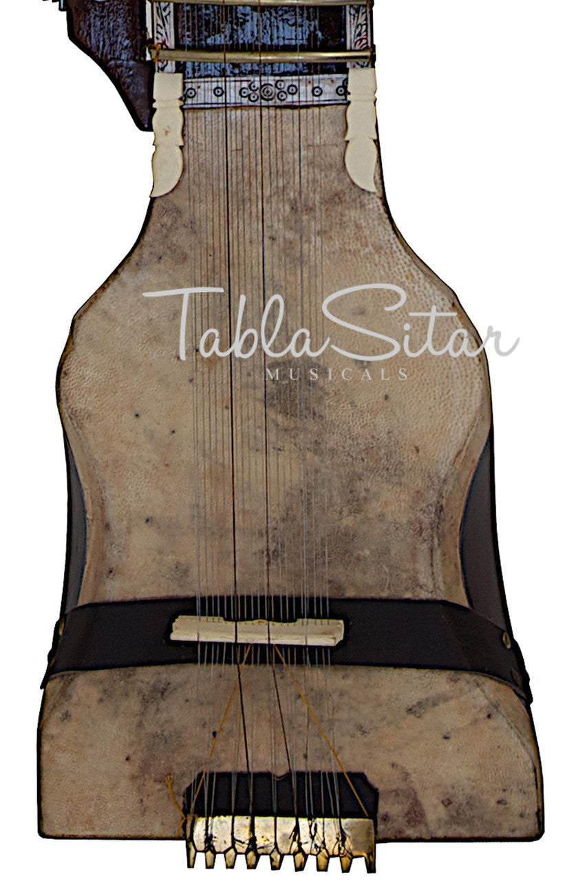 MAHARAJA Tun Wood Dilrub - BCC