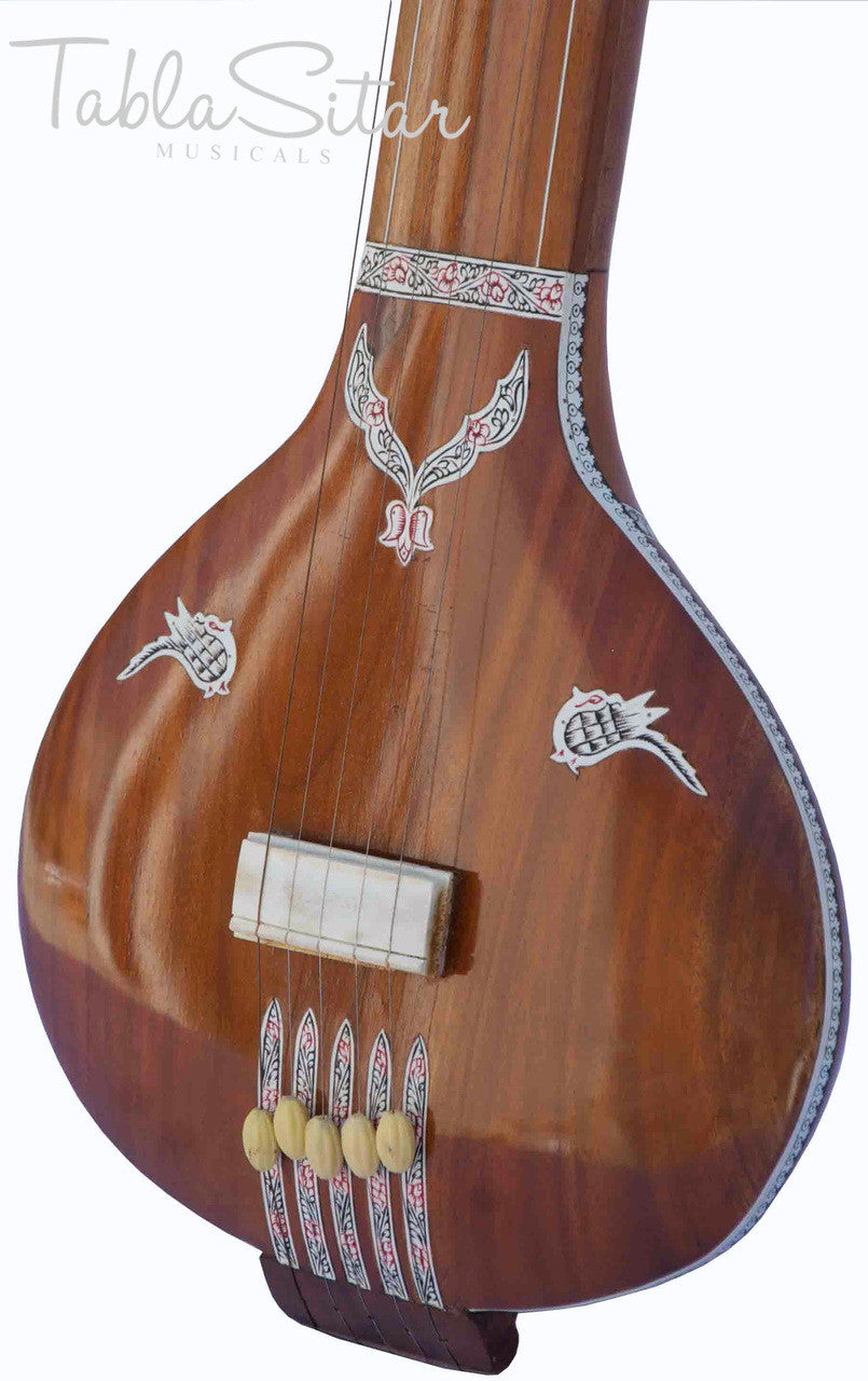 HEMEN & Co. Tanpuri, 5 Strings, Instrumental Tanpura/Tambura BGE