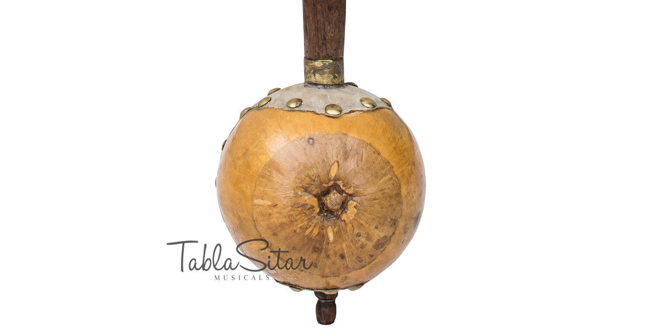  MAHARAJA Special Ik Taara Tumbi - Handmade Gourd Toomba, Tun Wood BIG