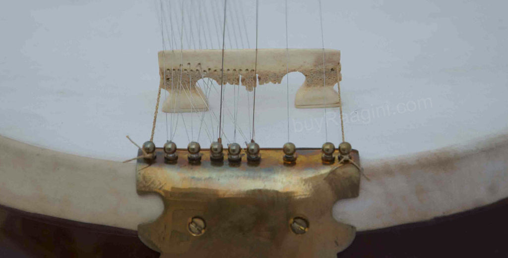 Hemen & Co. Sarod Ali Akbar Khan Style,Double Toomba, Fiber Case BIJ