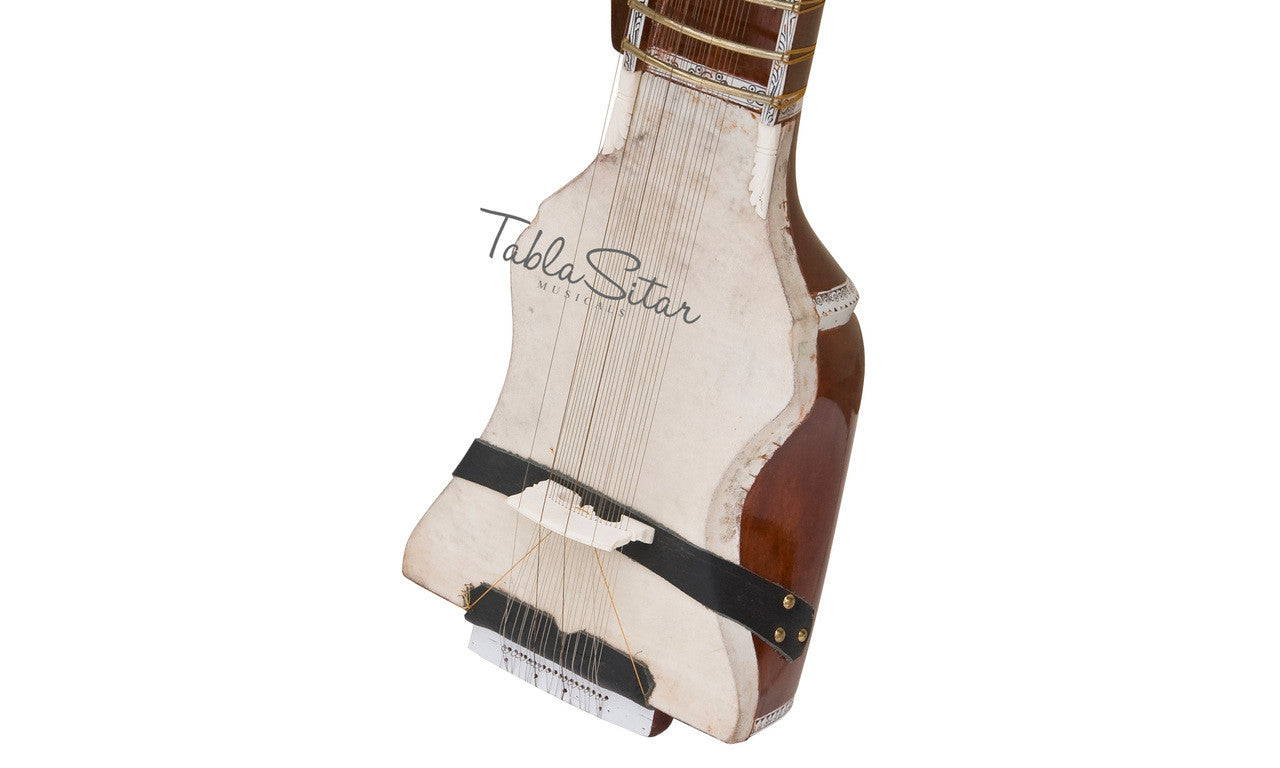 MAHARAJA Tun Wood Dilruba, Special Bow - CC