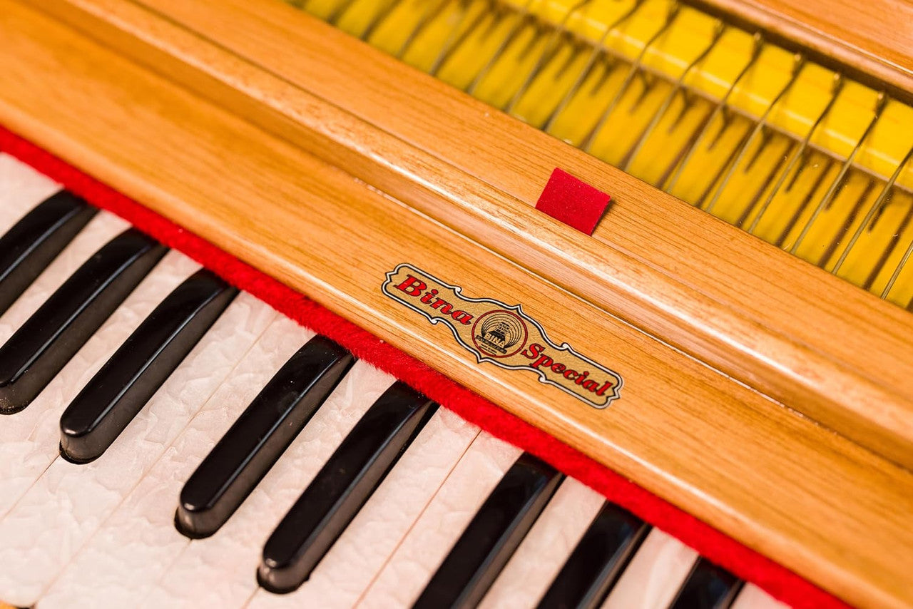 BINA No. 23B Deluxe Harmonium, 2.5 Octaves, Folding, Small DAA