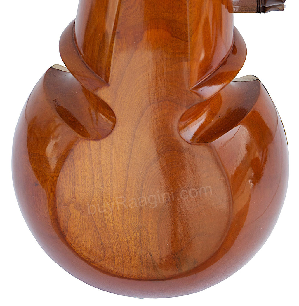 Kanai Lal & Sons Sarod - Amjad Ali Khan Stylem Fiber Case Trolley DBG