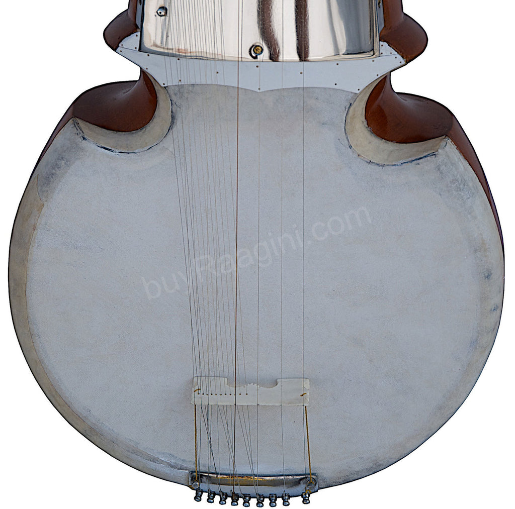 Kanai Lal & Sons Sarod - Amjad Ali Khan Stylem Fiber Case Trolley DBG