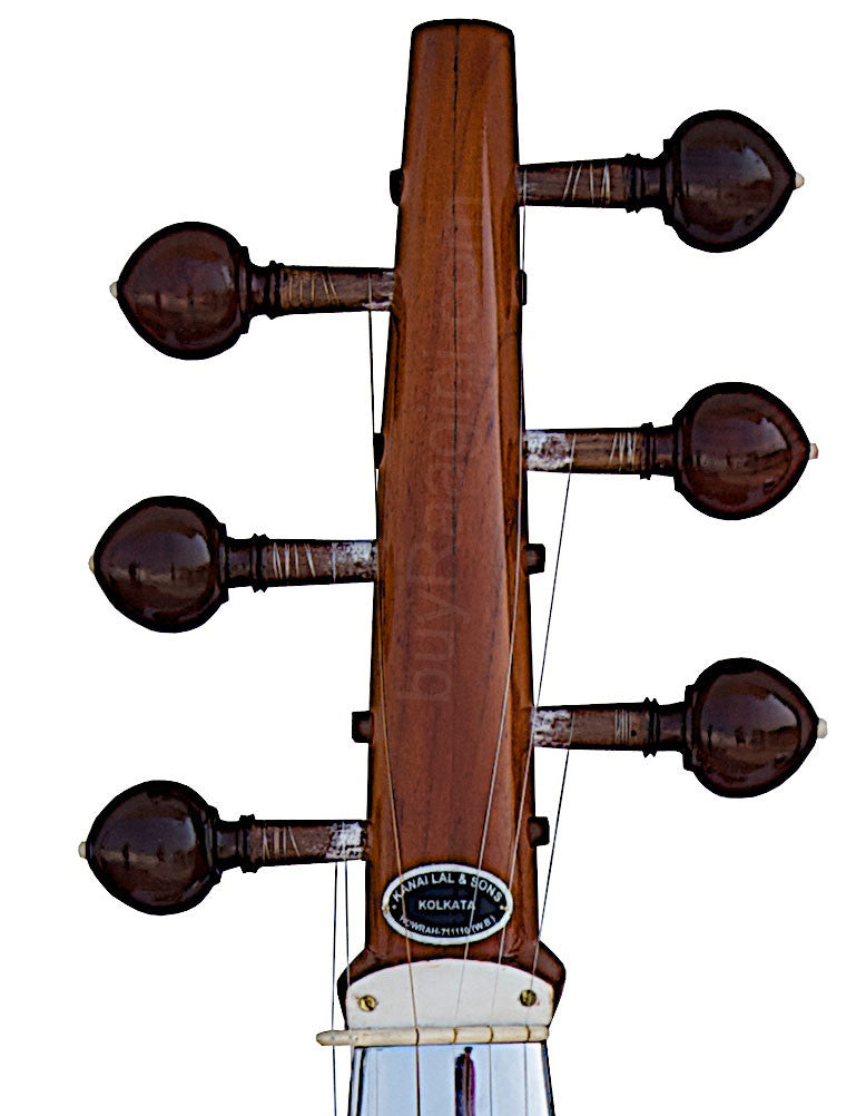 Kanai Lal & Sons Sarod - Amjad Ali Khan Stylem Fiber Case Trolley DBG