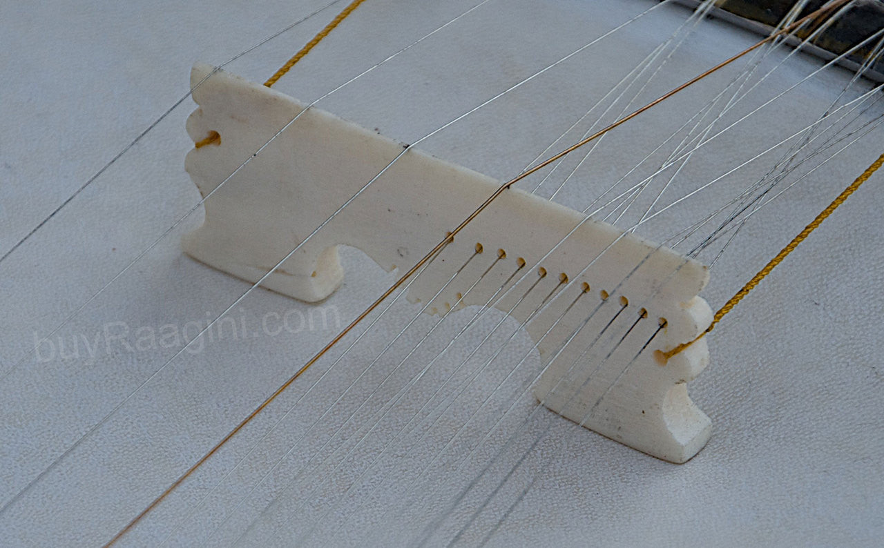 Kanai Lal & Sons Sarod - Amjad Ali Khan Stylem Fiber Case Trolley DBG
