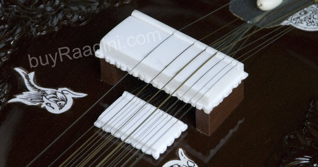 Kanai Lal Sitar, Ravi Shankar Style, Angur Patta, Fiber Case DDF