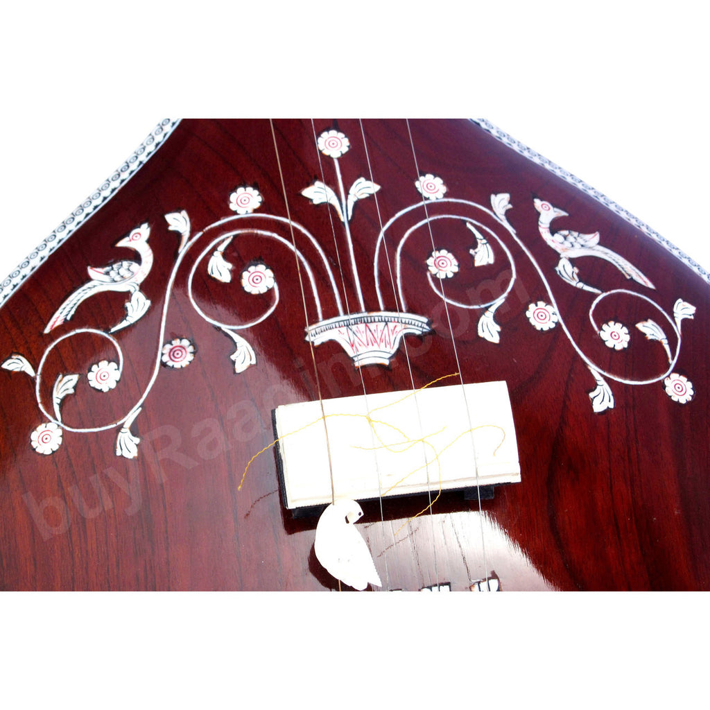 MAHARAJA Tanpura, Female, 4 Strings, Fiber Case (Miraj Tambura) - DF