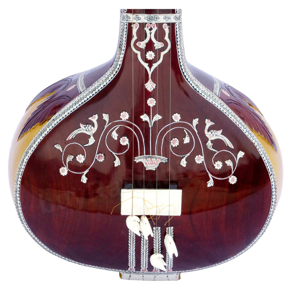 MAHARAJA Tanpura, Female, 4 Strings, Fiber Case (Miraj Tambura) - DF
