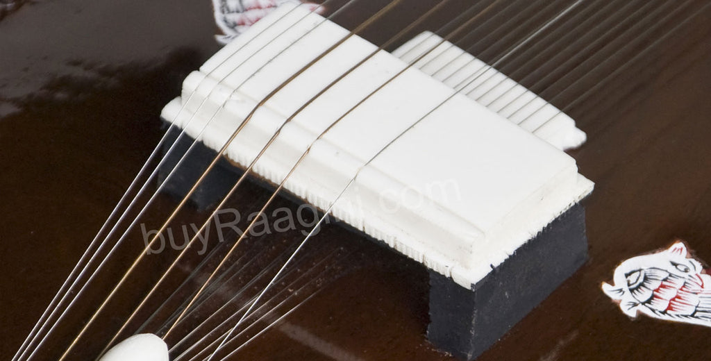 Kanai Lal Sitar, Khajoor Patta, Ravi Shankar Style, Fiber Trolley DGH