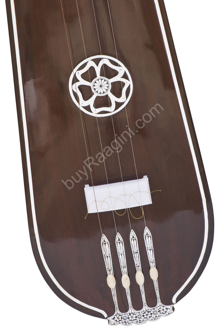 MONOJ K SARDAR Tear Drop Tanpura, Female, 4 Strings, Fiber Case DHE