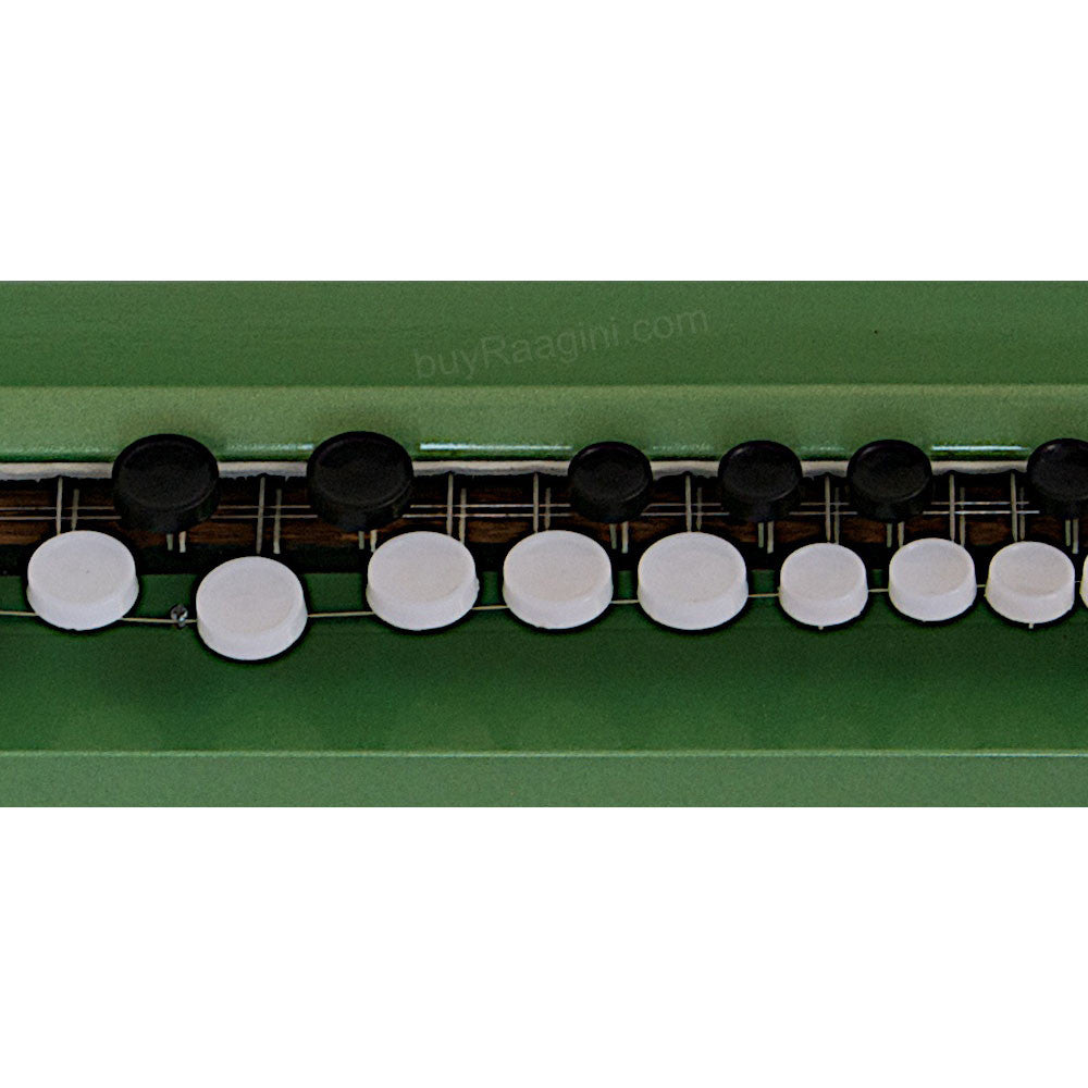 PALOMA Bulbul Tarang Green Color - Electronic Banjo/Benjo - DJH