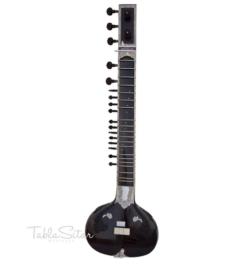 Barun Ray-Hiren Roy's son Sitar - Vilayat Khan Style - Fiber Case EAG