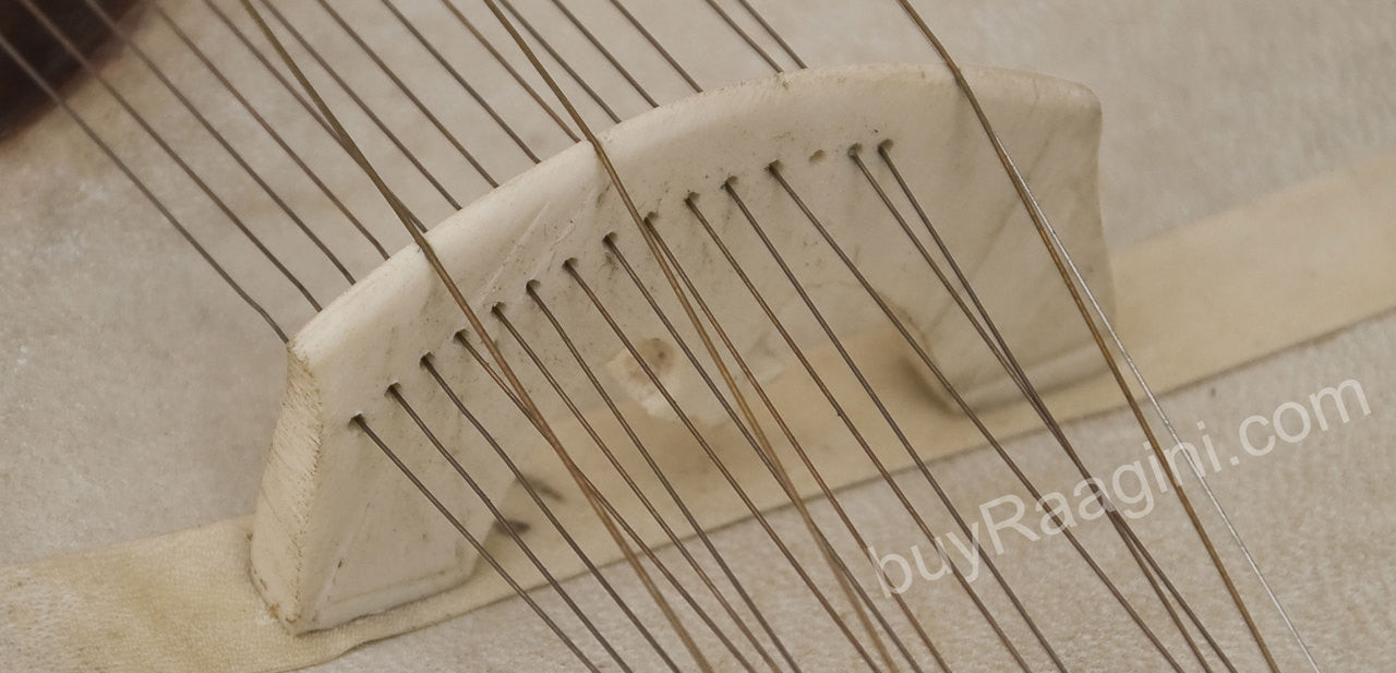 MKS Taar Shehnai Esraj/Israj, Tun Wood, Horse Hair Bow, Fiber Case EAH