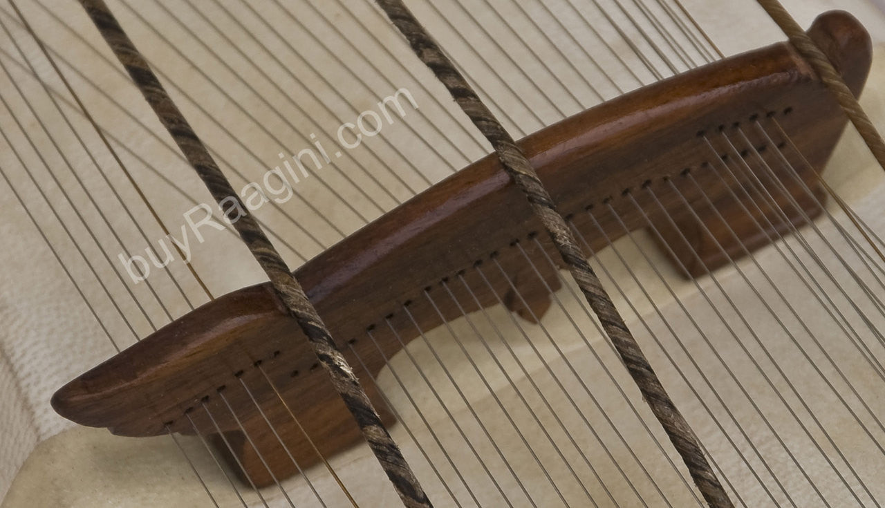 Pritam Singh Special Sarangi, Classical Model, Horse Hair Bow ECC