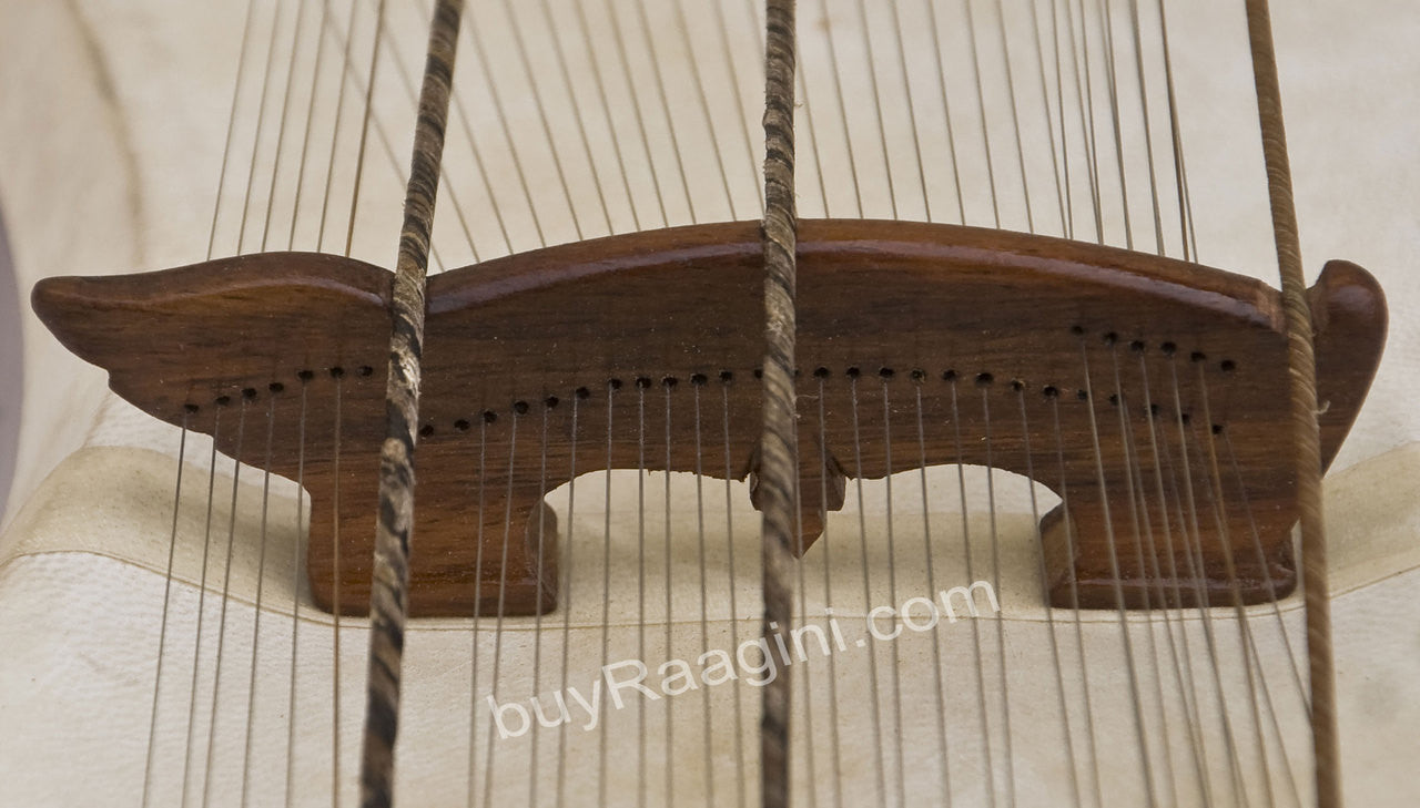 Pritam Singh Special Sarangi, Classical Model, Horse Hair Bow ECC