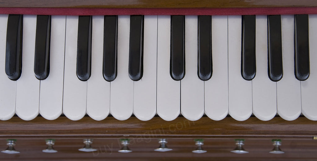 MONOJ K SARDAR Harmonium A440, 3 Reeds, 9 Stops, Teak wood, EGC