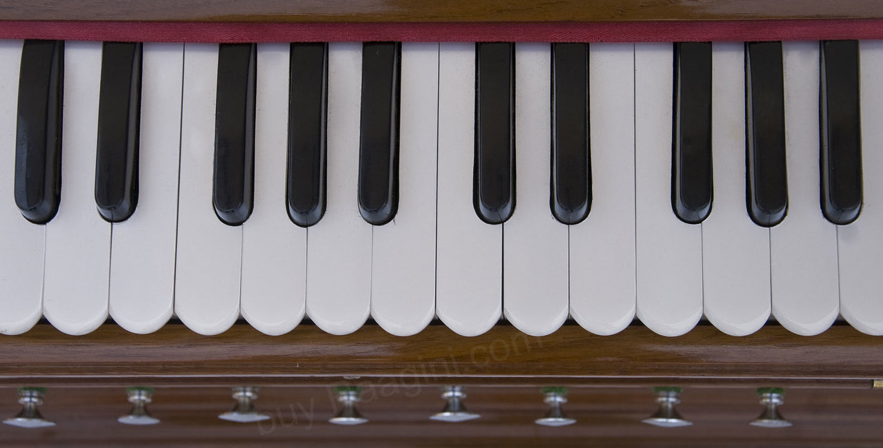 MONOJ K SARDAR Harmonium A440, 3 Reeds, 9 Stops, Teak wood, EGC