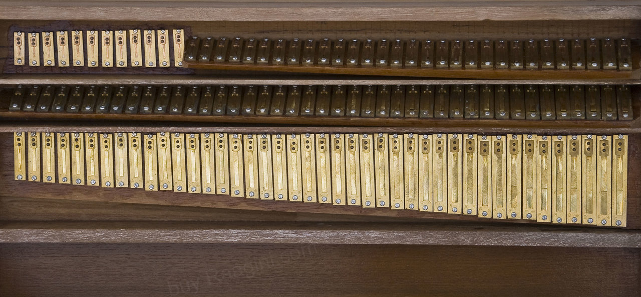 MONOJ K SARDAR Harmonium A440, 3 Reeds, 9 Stops, Teak wood, EGC