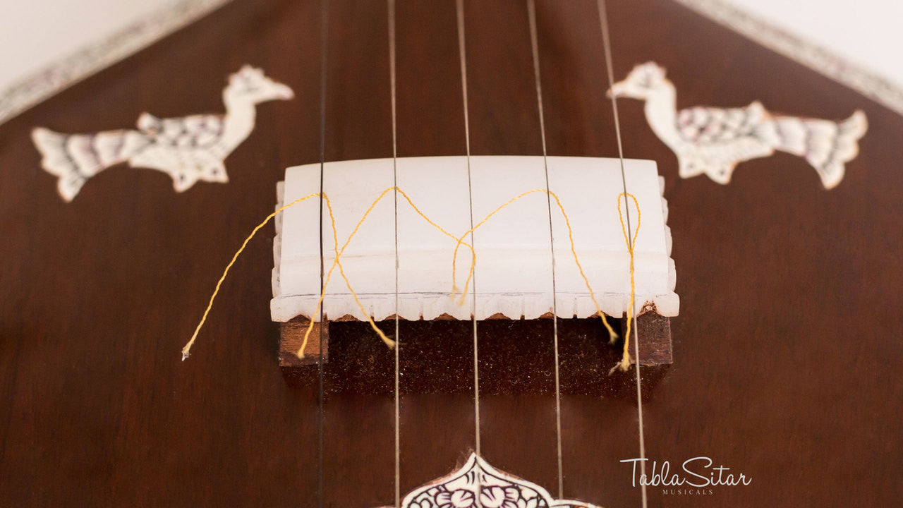 Kanai Lal & Sons Tanpuri, Instrumental Tanpura FCE