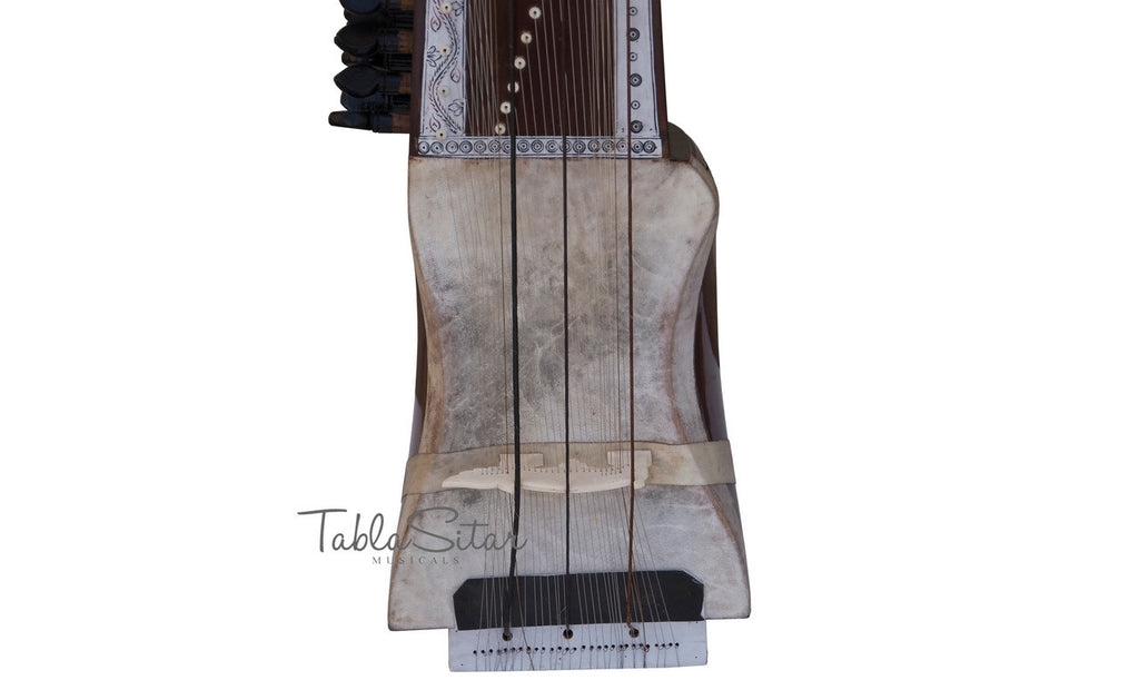 MAHARAJA Sarangi, Horse Hair Bow, Tun Wood - GD