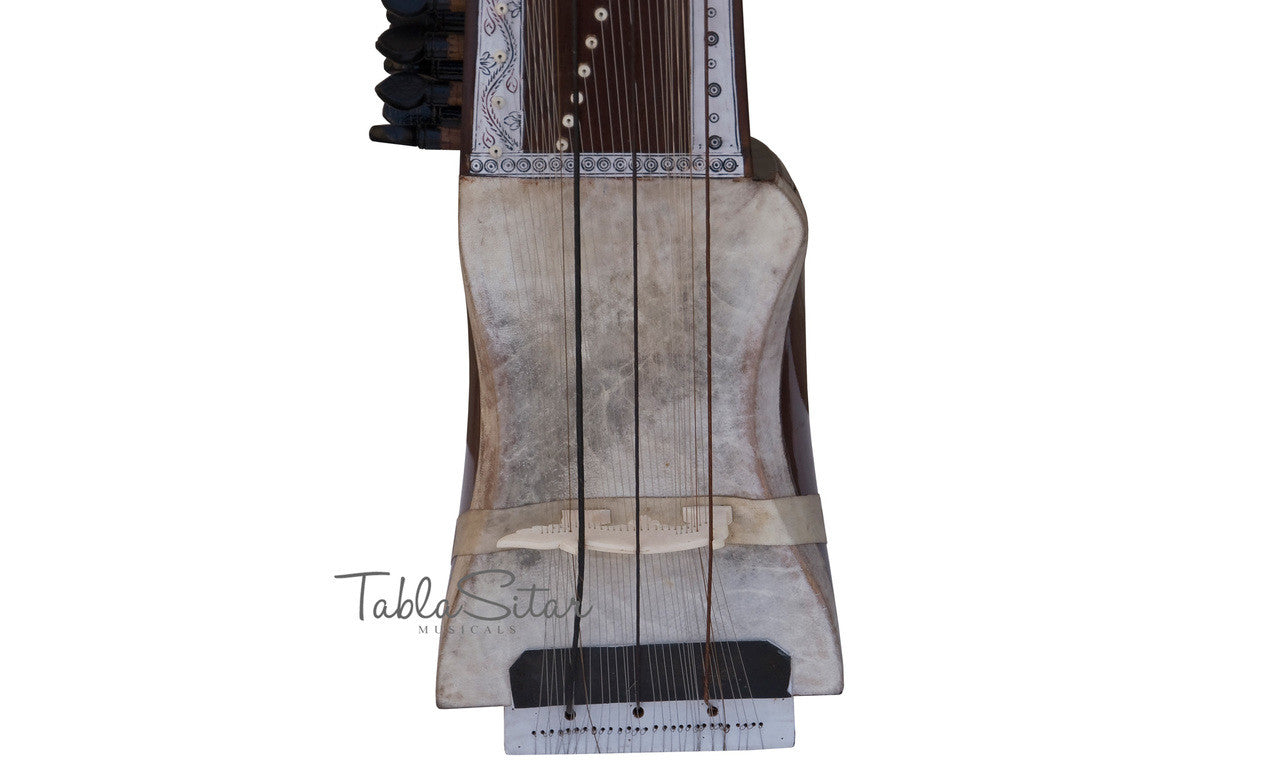 MAHARAJA Sarangi, Horse Hair Bow, Tun Wood - GD