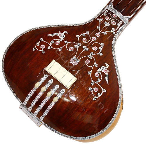 MAHARAJA Tanpura, Male, 4 Strings, Fiber Case (Miraj Tambura) - ABB