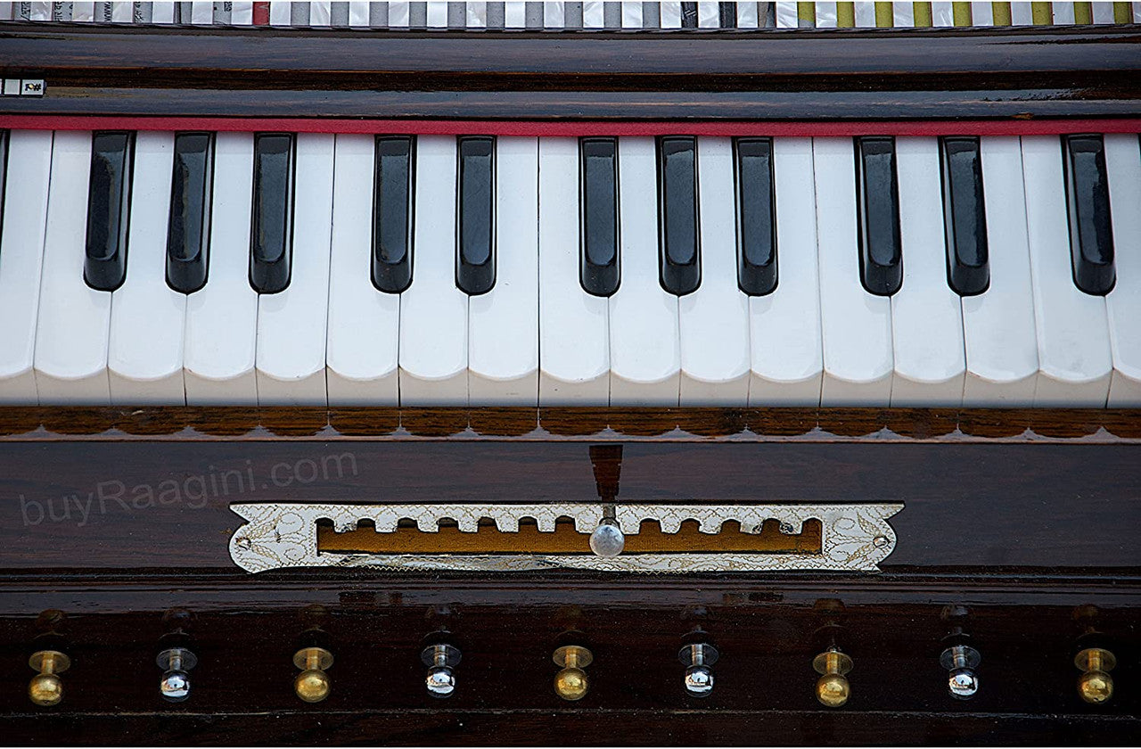 MAHARAJA MUSICALS Premium Calcutta Harmonium, 4/13 Scale Changer, Dark BDF