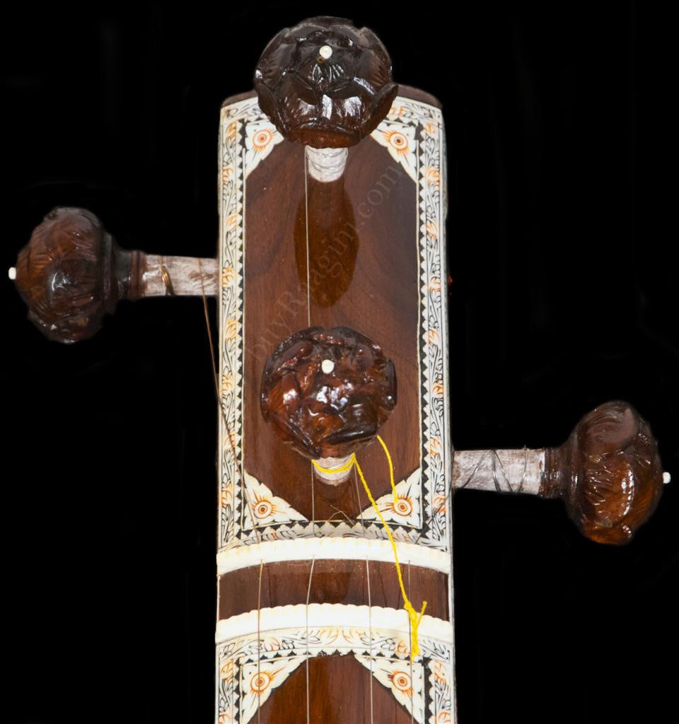 MAHARAJA Special Designer Male Tanpura, 4 Strings, Fiber Case BFI