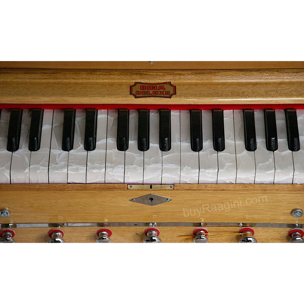BINA Sangeet Harmonium, 2 Reeds, 3.5 Octaves, 9 Stops, Coupler BJB
