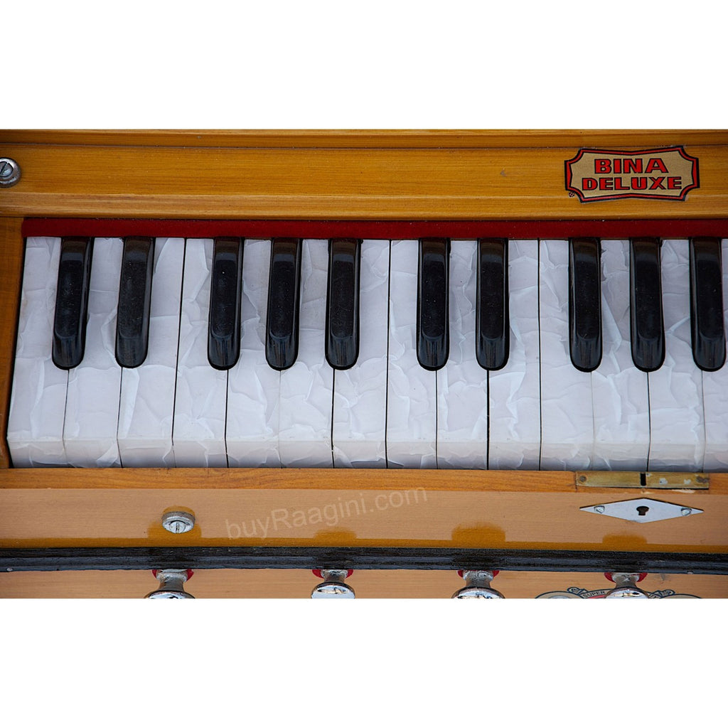 BINA NO. 8 Harmonium, 2 Reeds, 3.25 Octaves, 7 Stops, Coupler DJF