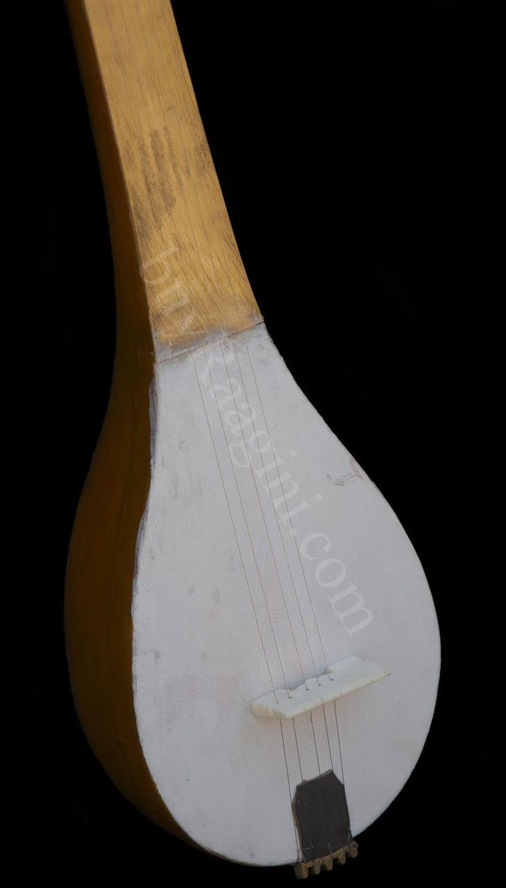 MAHARAJA Designer Mini Veena, Tun Wood, Handmade - EI
